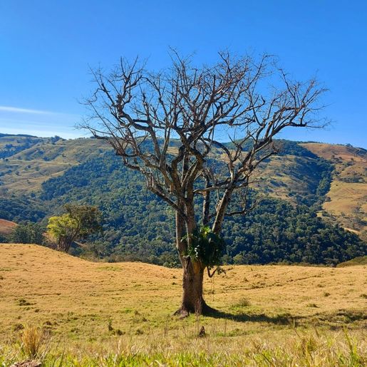 Saiba quem foram os vencedores do concurso “Belezas da Minha Terra” de São José do Cedro
