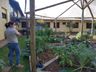 Implantação de hortos com plantas medicinais inicia na próxima semana em São José do Cedro