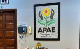 APAE comemora 47 anos com homenagens e lançamento em SMO 