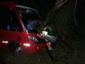 Árvores na pista causam acidentes na SC 163