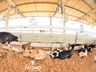 Confira fotos de domingo da maior feira multisetorial da região