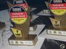 Festival Regional da Canção Alemã é atração do 5º dia da Semana Alemã 