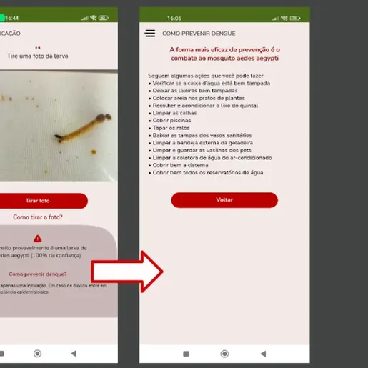 Estudante cria app que identifica larva do mosquito da dengue
