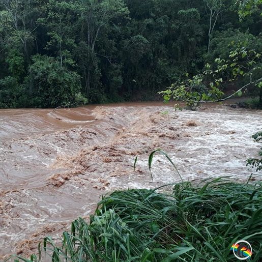 VÍDEO: Cheia do Rio Macaco Branco interrompe travessia em ponte no interior de Itapiranga