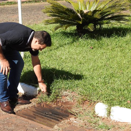 Secretaria de Saúde irá dedetizar bocas de lobo em SMOeste 
