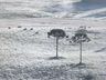 Cidades da Serra catarinense registram temperaturas abaixo de 0º C; veja quais