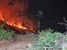 Incêndio florestal mobiliza bombeiros por quatro horas
