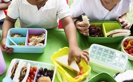 São Miguel vai investir R$ 775 mil em alimentação escolar com produtos da agricultura 