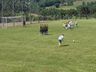 Jogando fora de casa, Ypiranga perde no Regional de Amadores