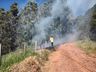 Bombeiros combatem incêndio em área de reflorestamento por 27 horas