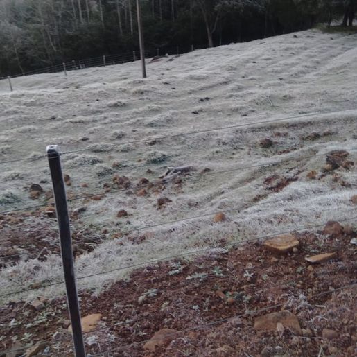 Geada cobre a região na manhã desta segunda-feira
