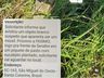 Homem entra em pânico ao avistar objeto suspeito semelhante a míssil em SMOeste