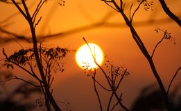 Semana começa com sol e calor intenso, e máximas se aproximam dos 40°C em SC