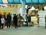 Corrida do Soldado é realizada em São Miguel do Oeste; fotos