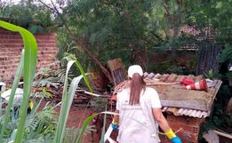 Paraná registra 57 óbitos e mais de 76 mil casos por dengue