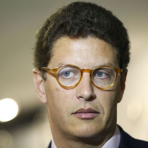 STF quebra sigilo de Ricardo Salles e afasta presidente do Ibama