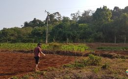 Zootecnista inicia projeto de agroflorestal em Itapiranga 