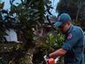 Temporal causa quedas de árvores e vários destelhamentos na região