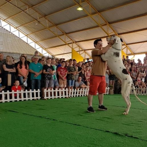 Inscrições para o 3º FAICÃO terminam nesta sexta-feira; evento terá novidades