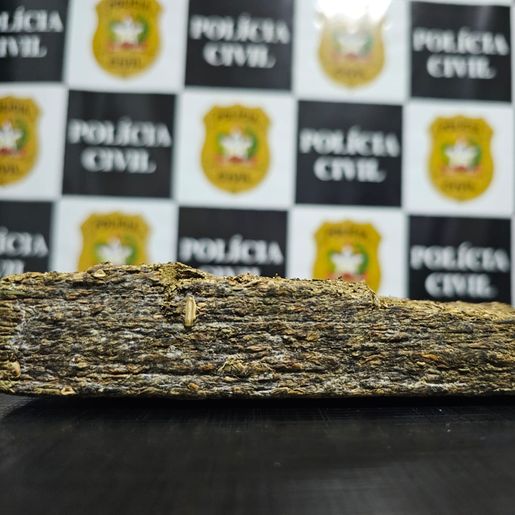 Adolescente de SJO é apreendido por tráfico de drogas em Maravilha